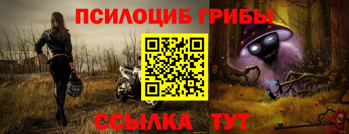 Галлюциногенные грибы MAGIC MUSHROOMS  Вход с VPN  Ликино-Дулёво 